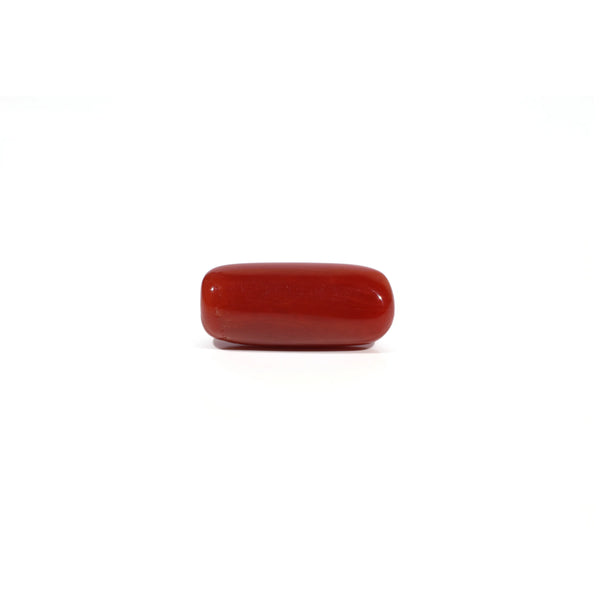 Red Coral - 7.1 Carat - Pramogh