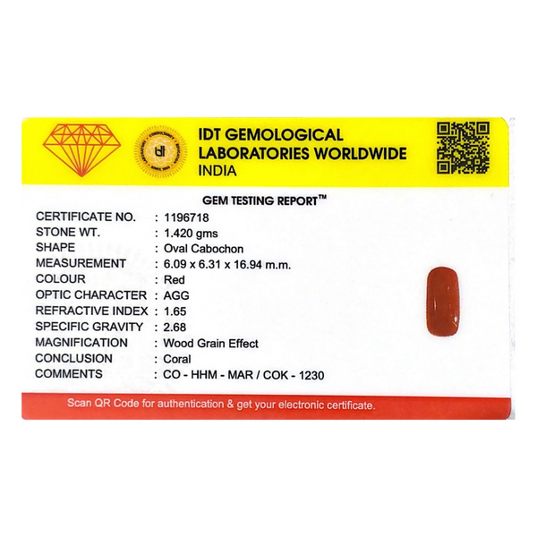 Red Coral - 7.1 Carat