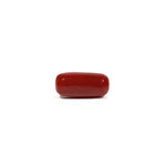 Red Coral - 7.02 Carat - Pramogh
