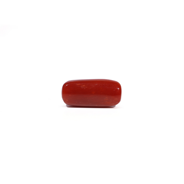 Red Coral - 7.02 Carat