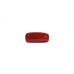 Red Coral - 7.02 Carat