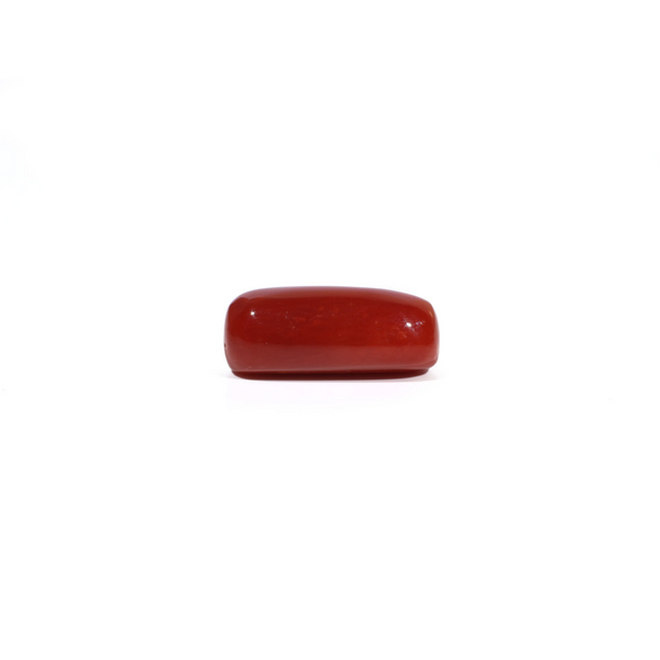 Red Coral - 7.02 Carat