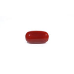 Red Coral - 7.22 Carat - Pramogh