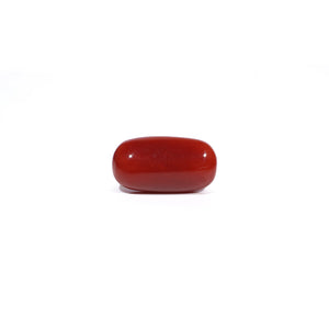 Red Coral - 7.22 Carat - Pramogh
