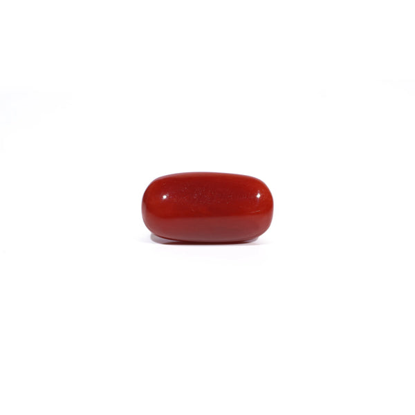 Red Coral - 7.22 Carat - Pramogh