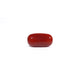 Red Coral - 7.22 Carat - Pramogh