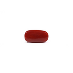 Red Coral - 7.22 Carat