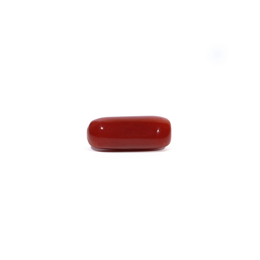 Red Coral - 7.22 Carat