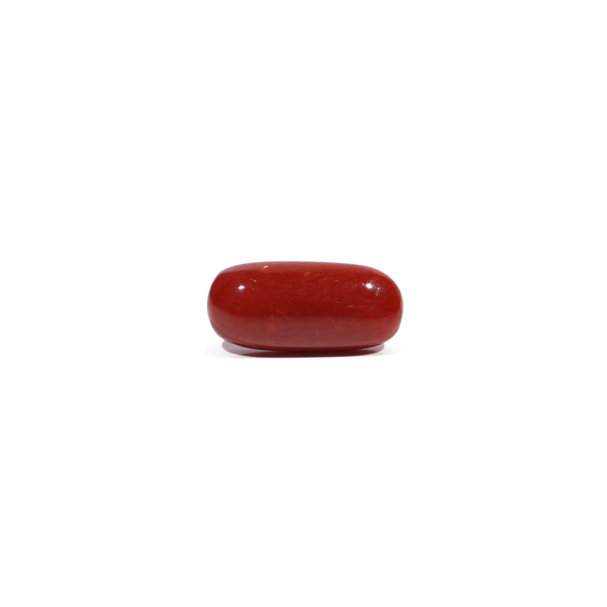 Red Coral - 7.09 Carat - Pramogh