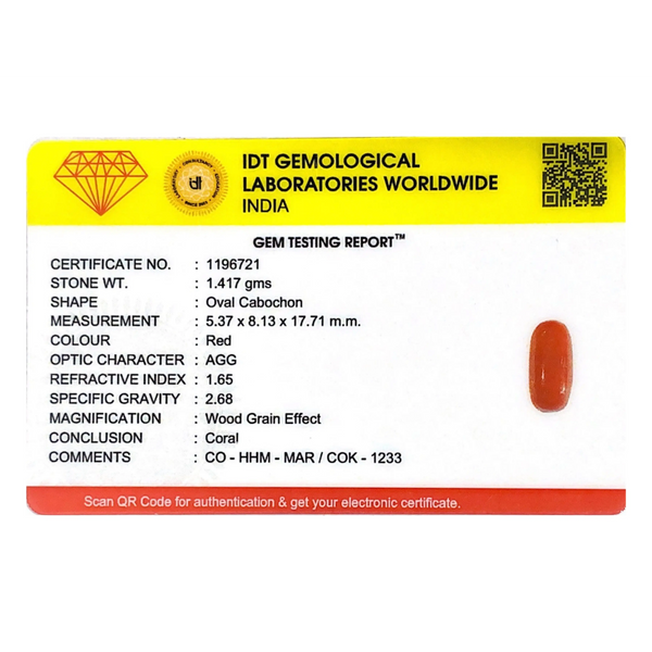 Red Coral - 7.09 Carat