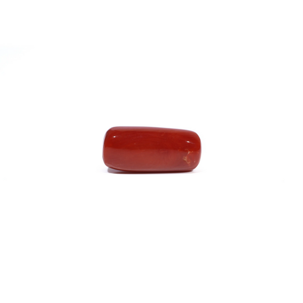 Red Coral - 7.2 Carat - Pramogh