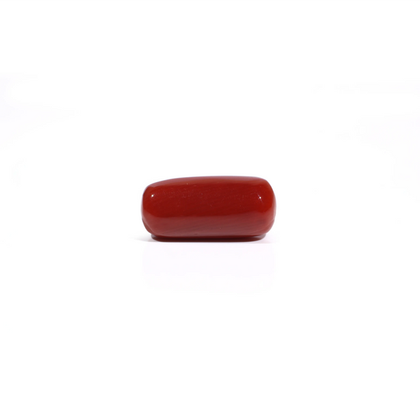 Red Coral - 7.2 Carat