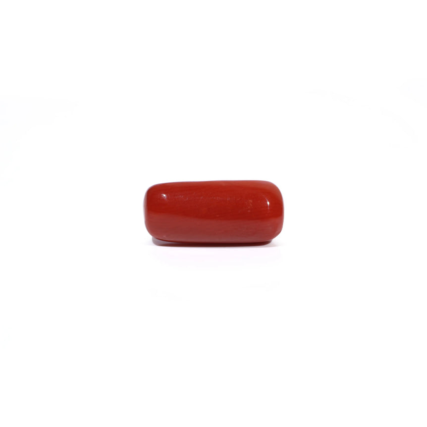 Red Coral - 6.99 Carat - Pramogh