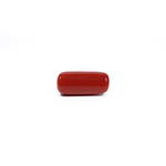 Red Coral - 6.99 Carat