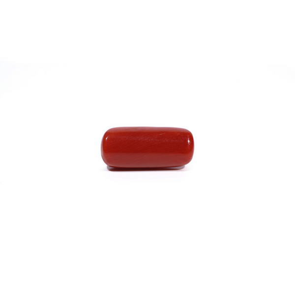 Red Coral - 6.99 Carat