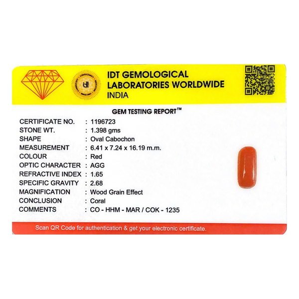 Red Coral - 6.99 Carat