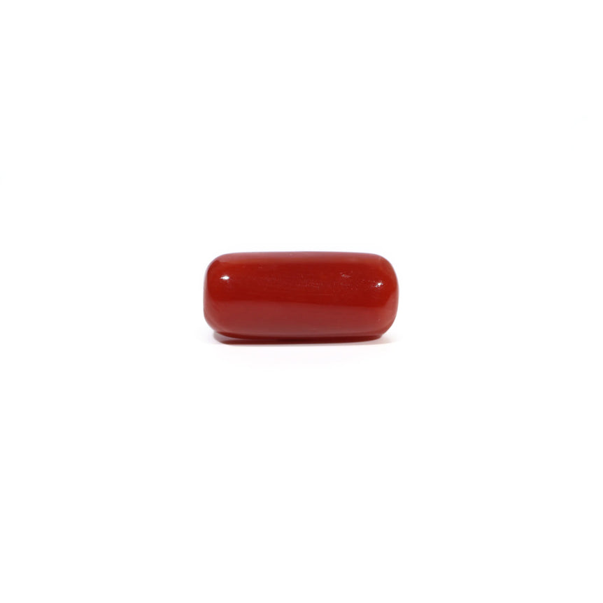 Red Coral - 7.03 Carat - Pramogh