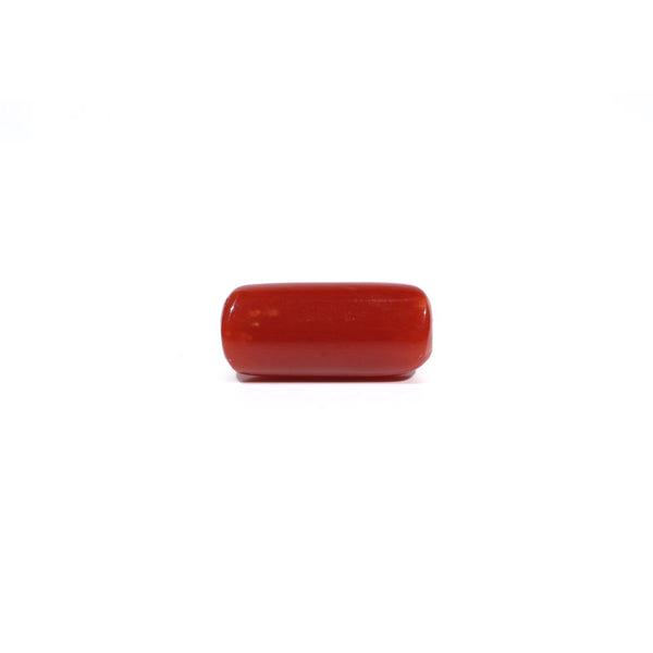 Red Coral - 7.03 Carat