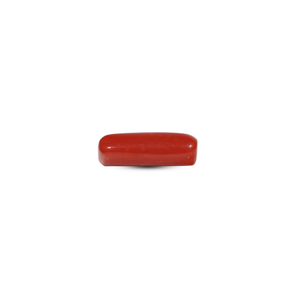 Red Coral - 5.4 Carat