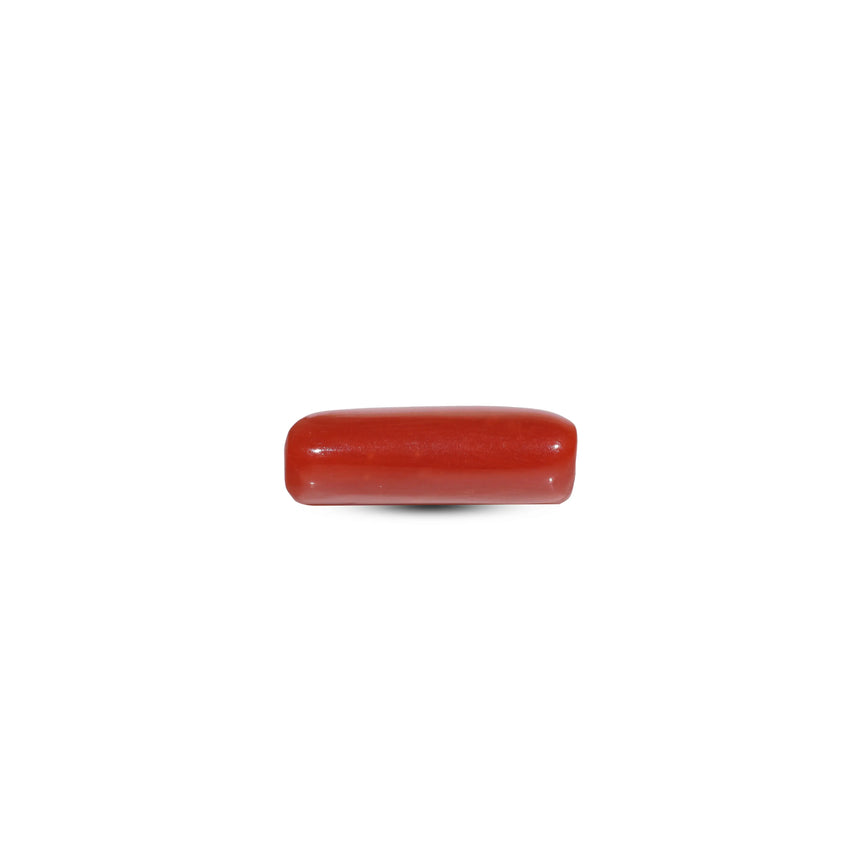 Red Coral - 5.4 Carat