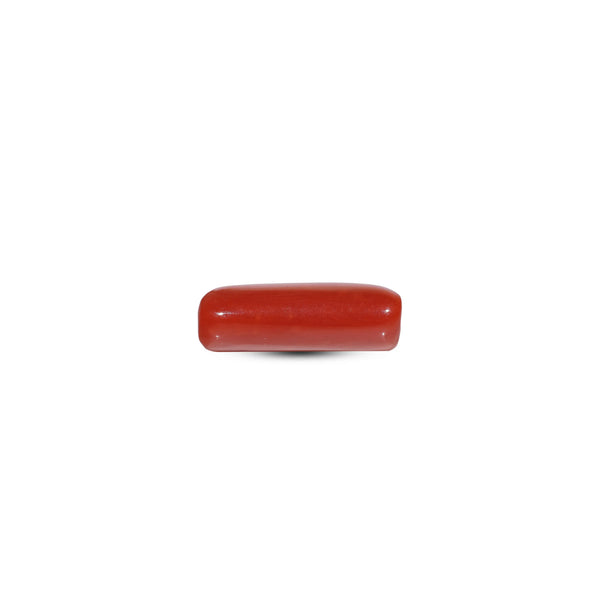 Red Coral - 5.4 Carat