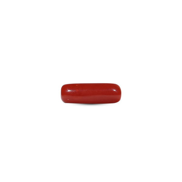 Red Coral - 7.2 Carat - Pramogh