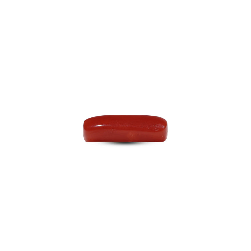 Red Coral - 7.2 Carat