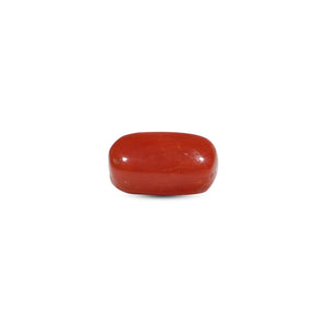 Red Coral - 5.68 Carat - Pramogh