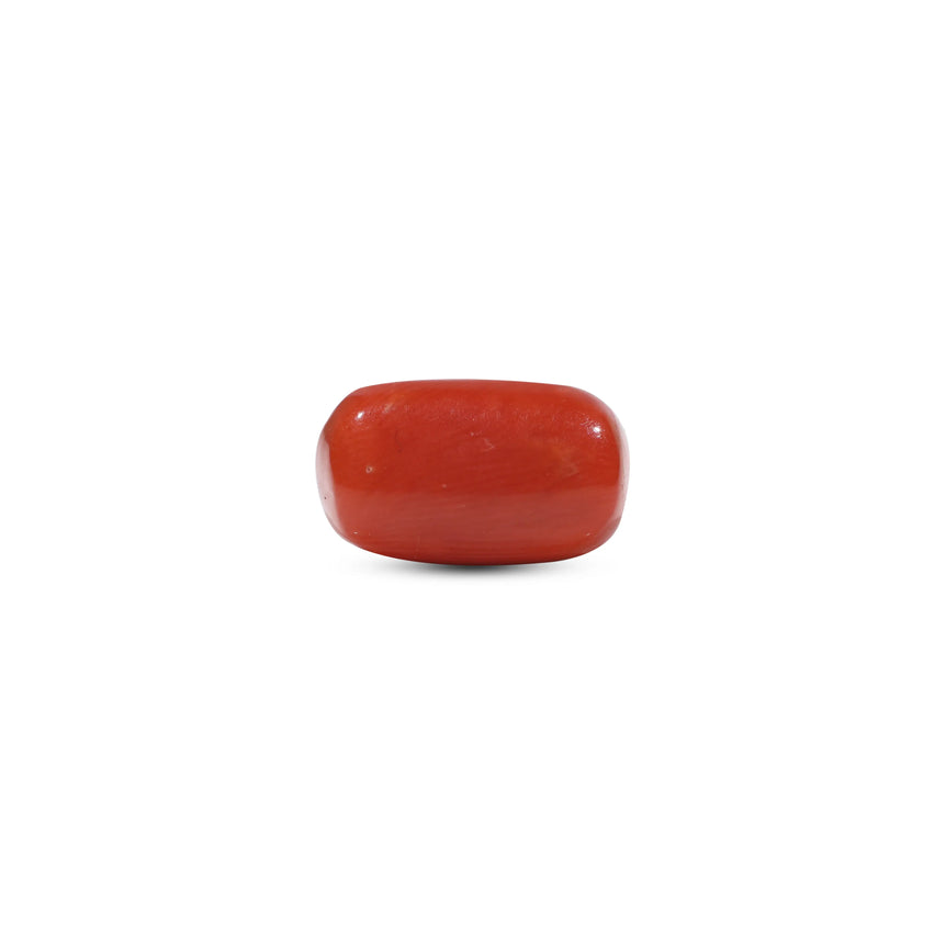 Red Coral - 5.68 Carat