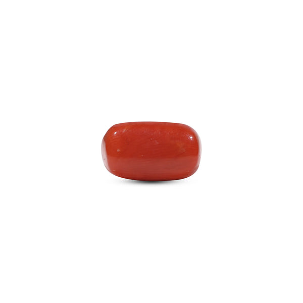Red Coral - 5.68 Carat