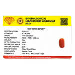 Red Coral - 5.68 Carat