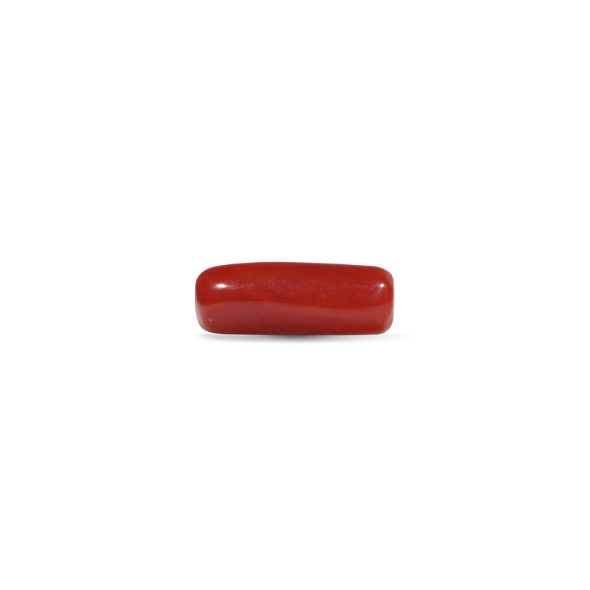 Red Coral - 5.6 Carat - Pramogh