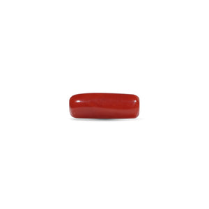 Red Coral - 5.6 Carat - Pramogh