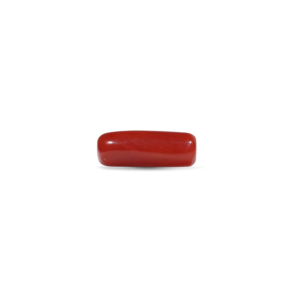 Red Coral - 5.6 Carat - Pramogh