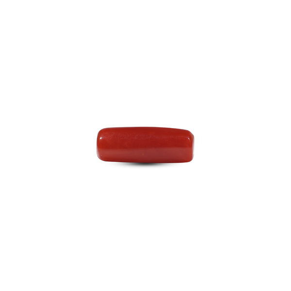 Red Coral - 5.6 Carat