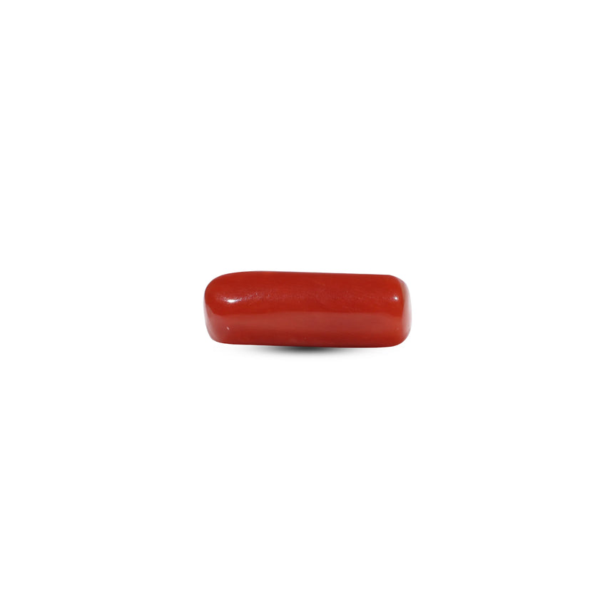 Red Coral - 6.85 Carat - Pramogh
