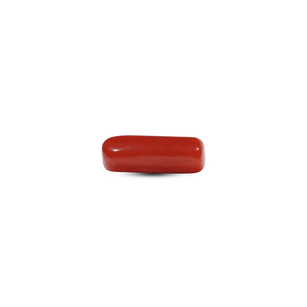 Red Coral - 6.85 Carat - Pramogh