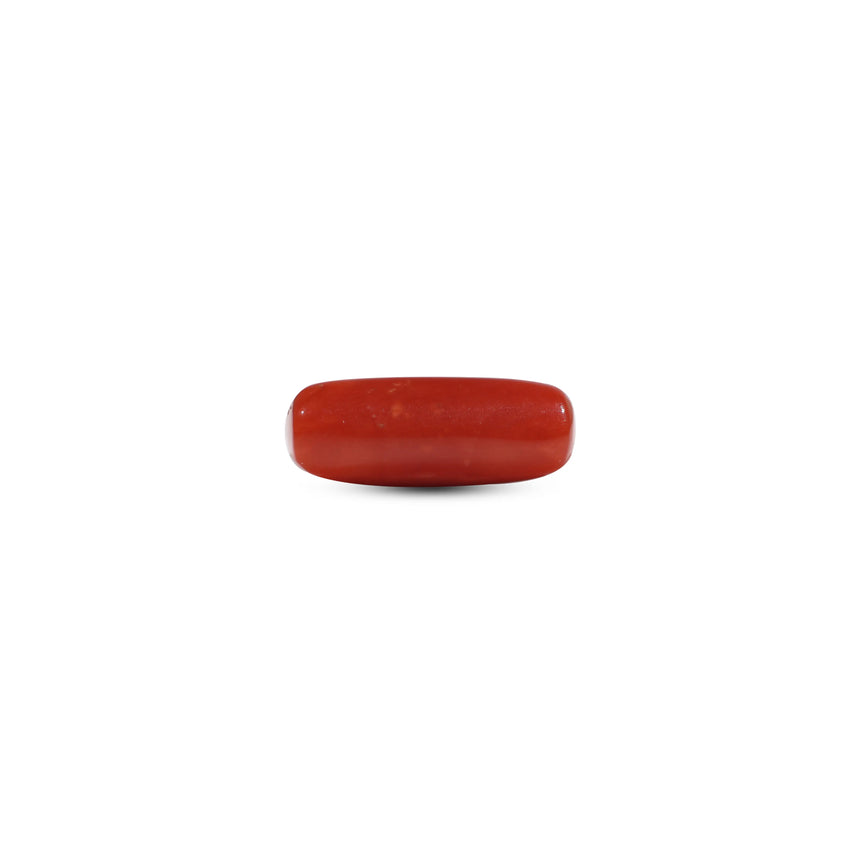 Red Coral - 6.4 Carat