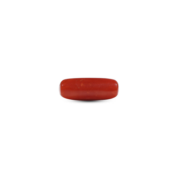 Red Coral - 6.4 Carat