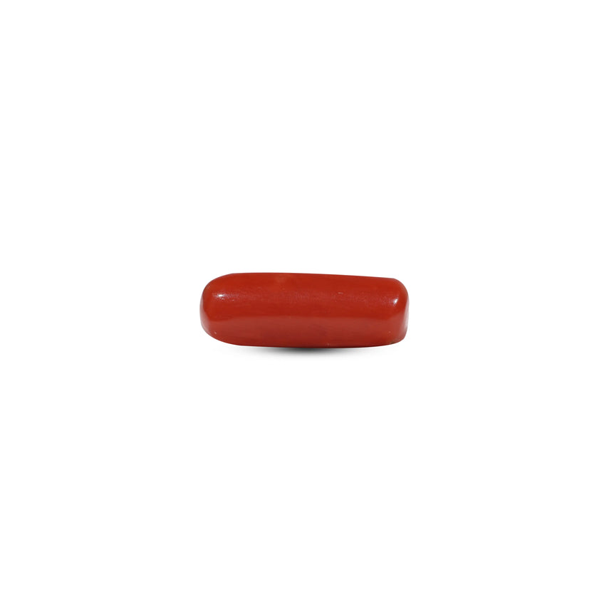 Red Coral - 6.65 Carat - Pramogh