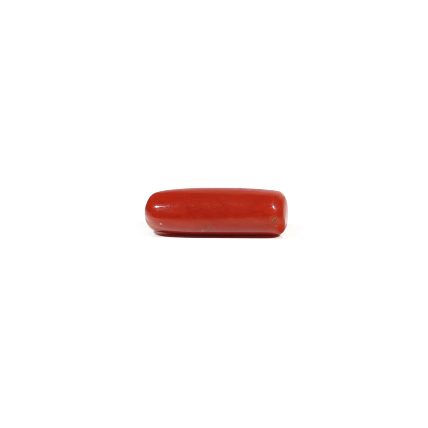 Red Coral - 6.65 Carat