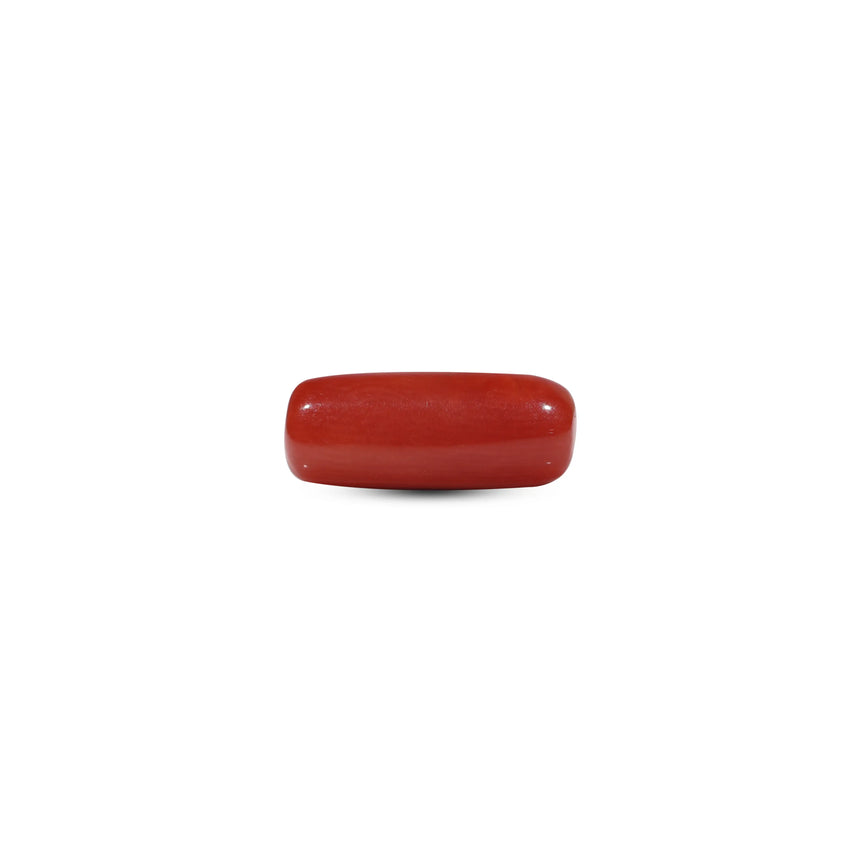 Red Coral - 5.55 Carat - Pramogh