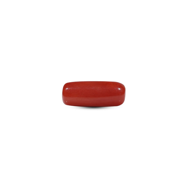 Red Coral - 5.55 Carat - Pramogh