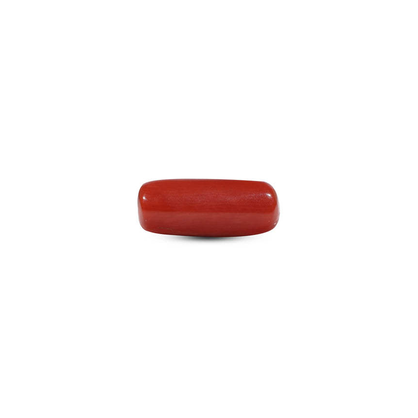 Red Coral - 5.55 Carat
