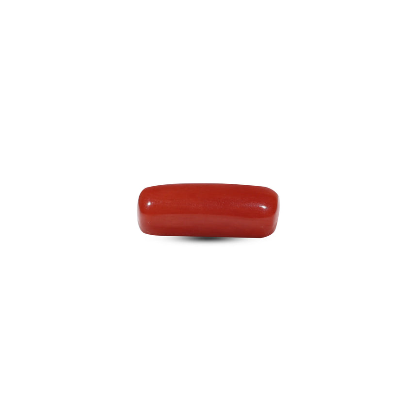 Red Coral - 5.55 Carat
