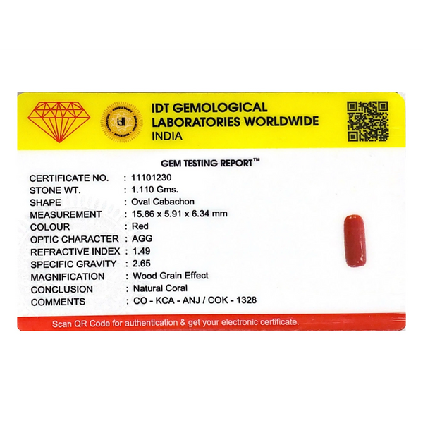 Red Coral - 5.55 Carat