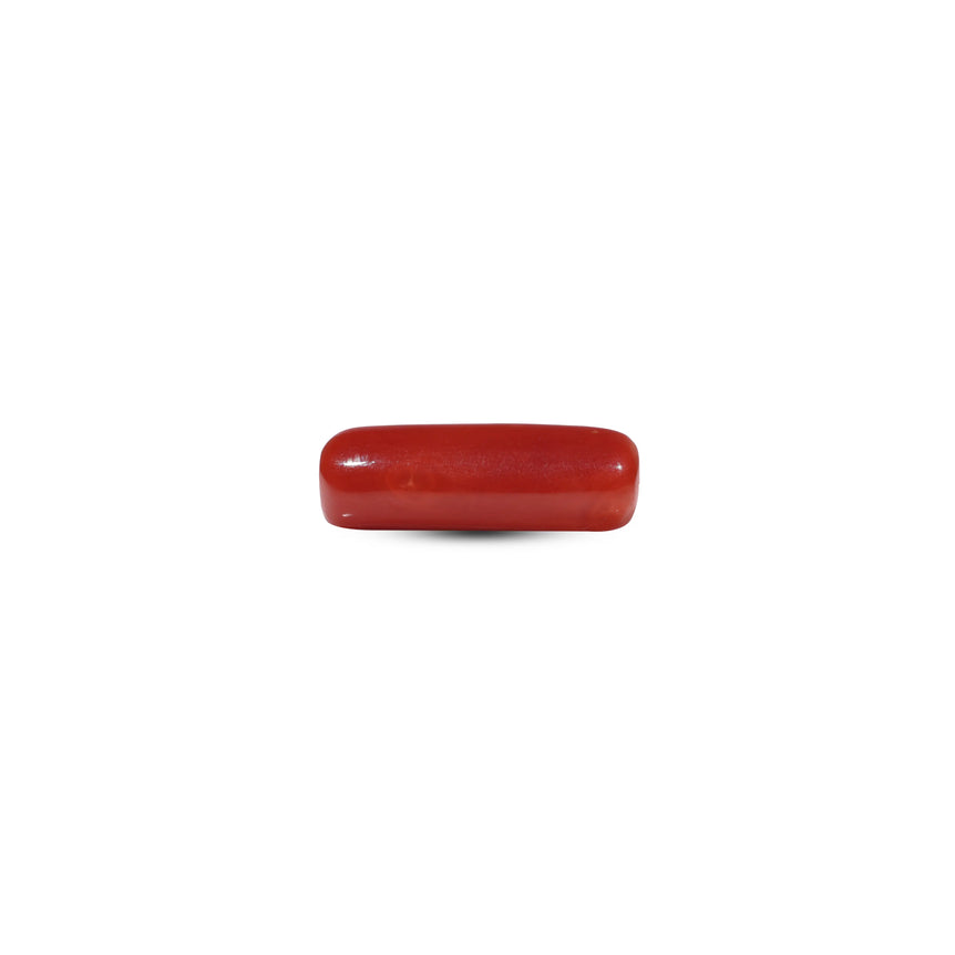 Red Coral - 6.3 Carat