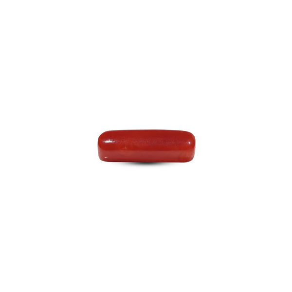 Red Coral - 6.3 Carat