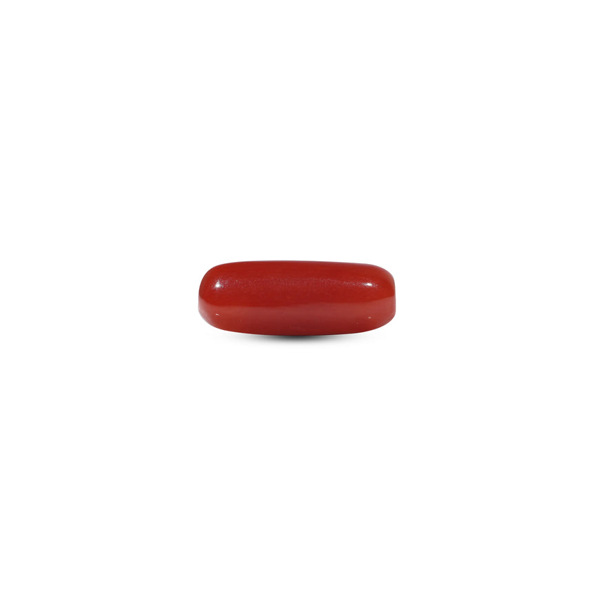 Red Coral - 6 Carat - Pramogh