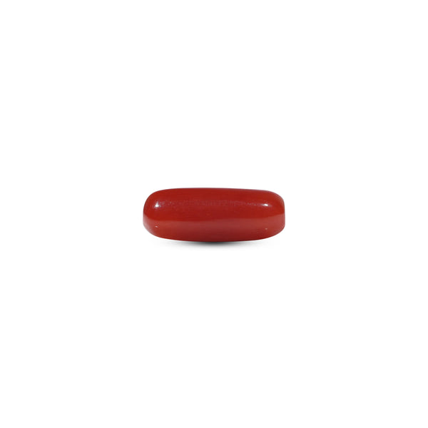Red Coral - 6 Carat - Pramogh